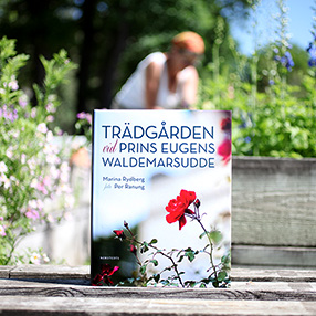 Trädgården vid Prins Eugens Waldemarsudde