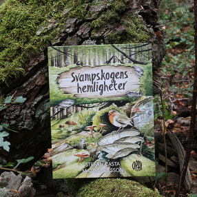 Svampskogens hemligheter
