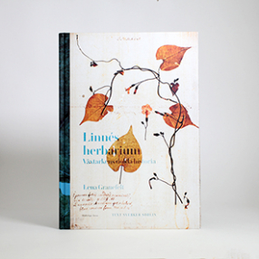 I Linnés herbarium: Växtarkens dolda historia