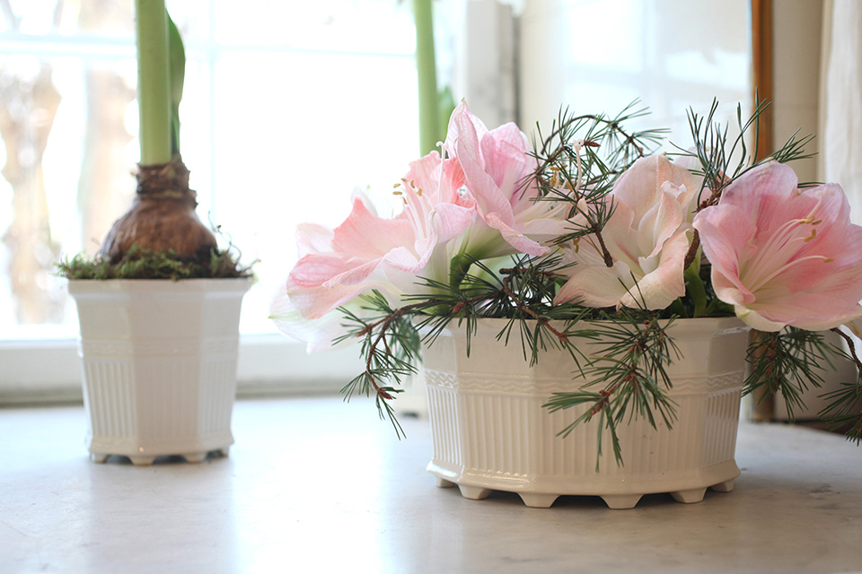 Waldemarsuddekruka påskarrangemang