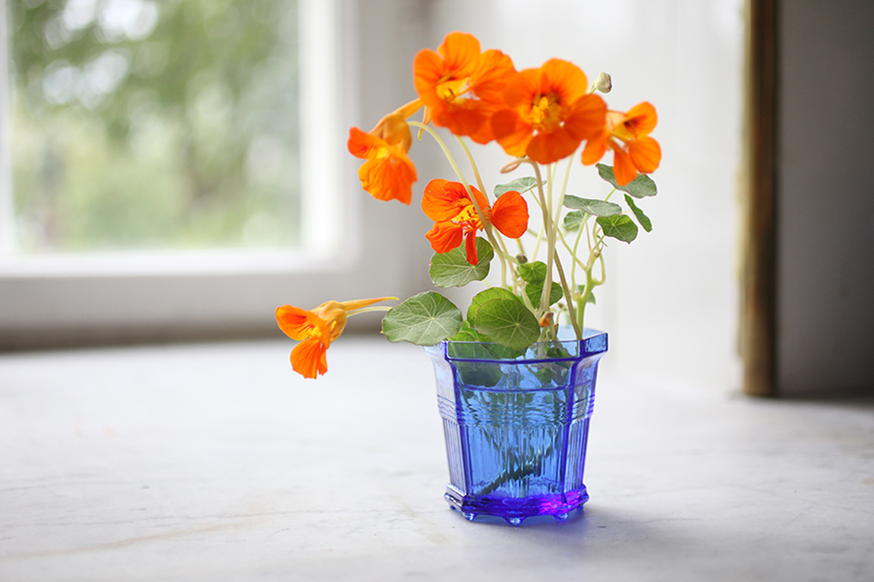 Waldemarsuddekrukan Glas