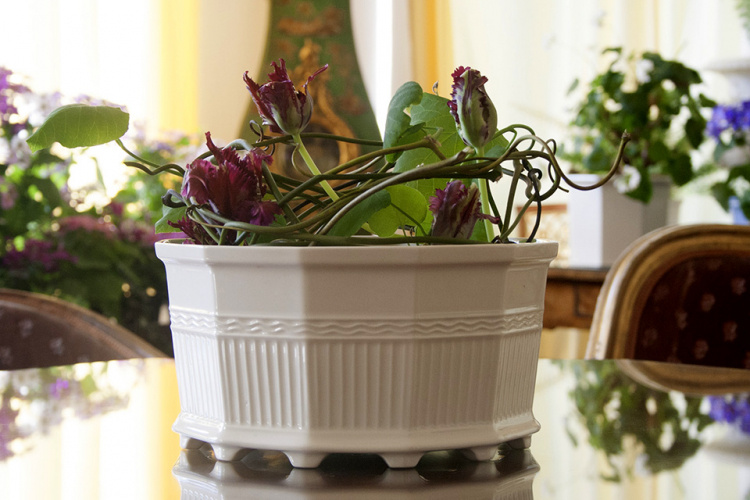 WALDEMARSUDDEKRUKAN® no 3