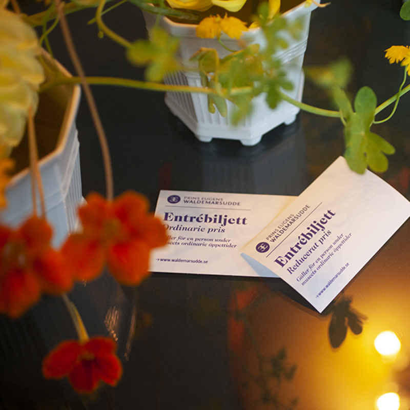 Entrébiljett reducerat pris