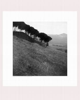 Prince Eugen: Trees, Toscana, small