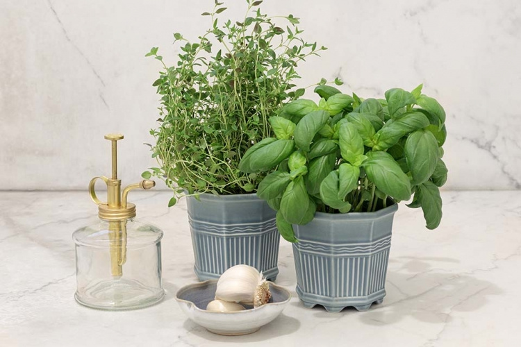 WALDEMARSUDDEKRUKAN nr 5 Jubileumskulören