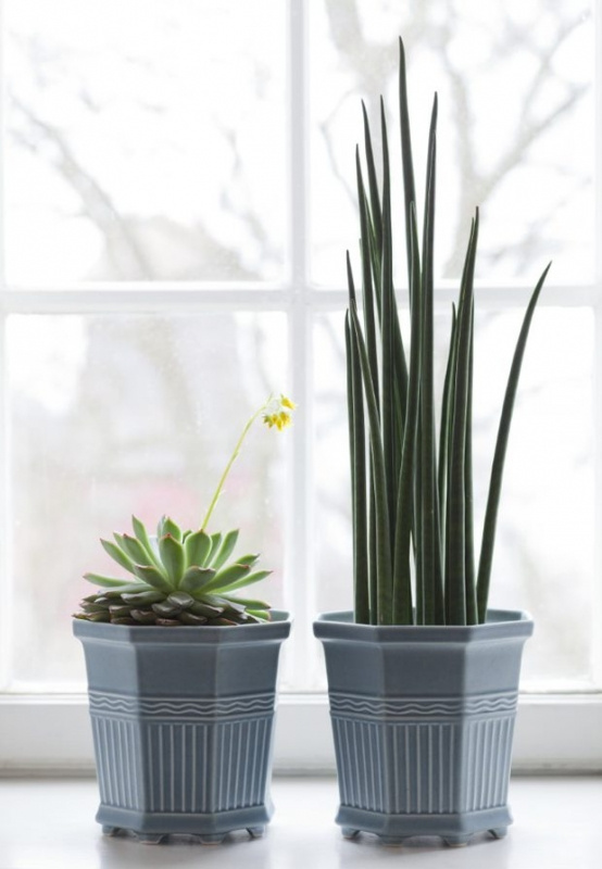 WALDEMARSUDDEKRUKAN® no 2, Jubilee edition