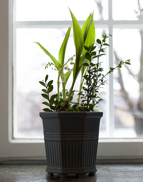 WALDEMARSUDDEKRUKAN® no 2, Jubilee edition