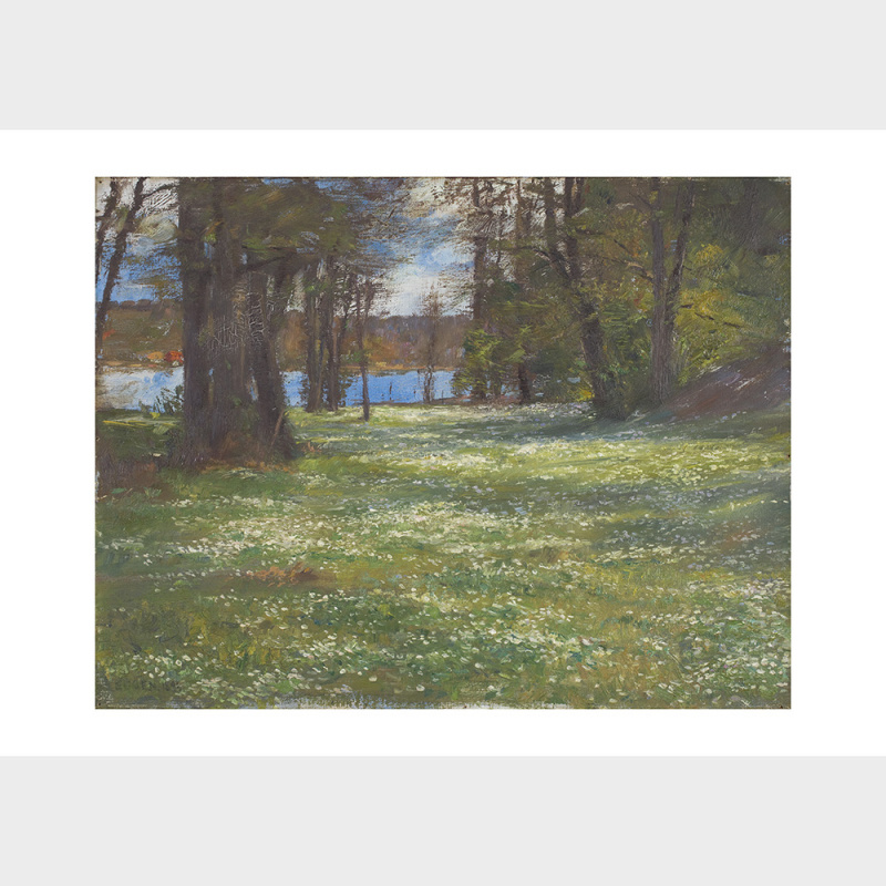 Prince Eugen: Wood Anemones