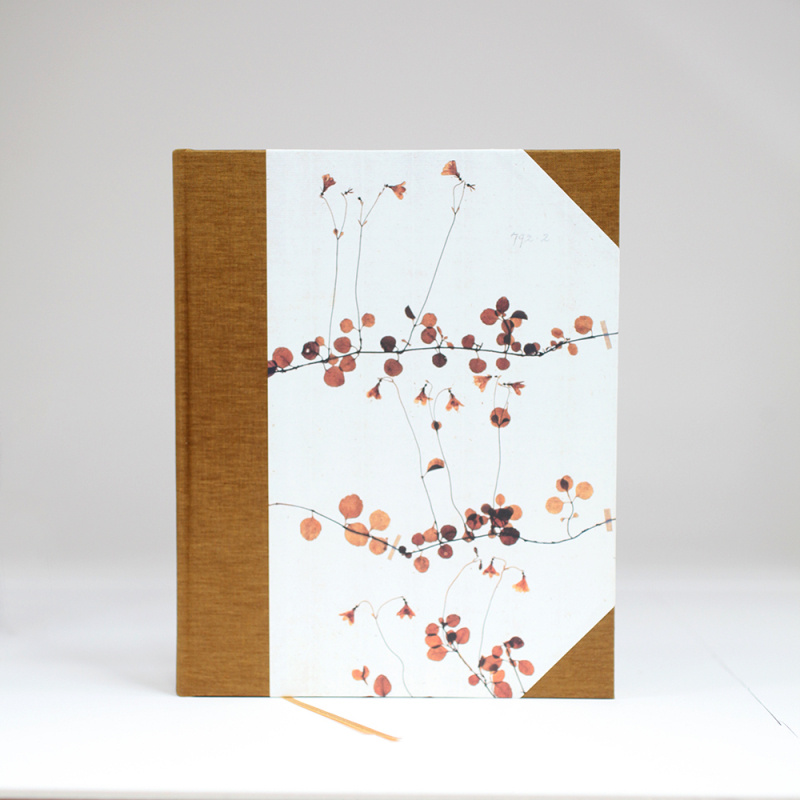 Anteckningsbok från Purpurs, Linnaea