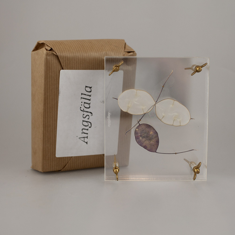 Ängsfälla Blompress