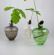 Robur, vase for acorns (clear), Vas Vitreum