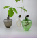 Robur, vase for acorns (green) from Vas Vitreum