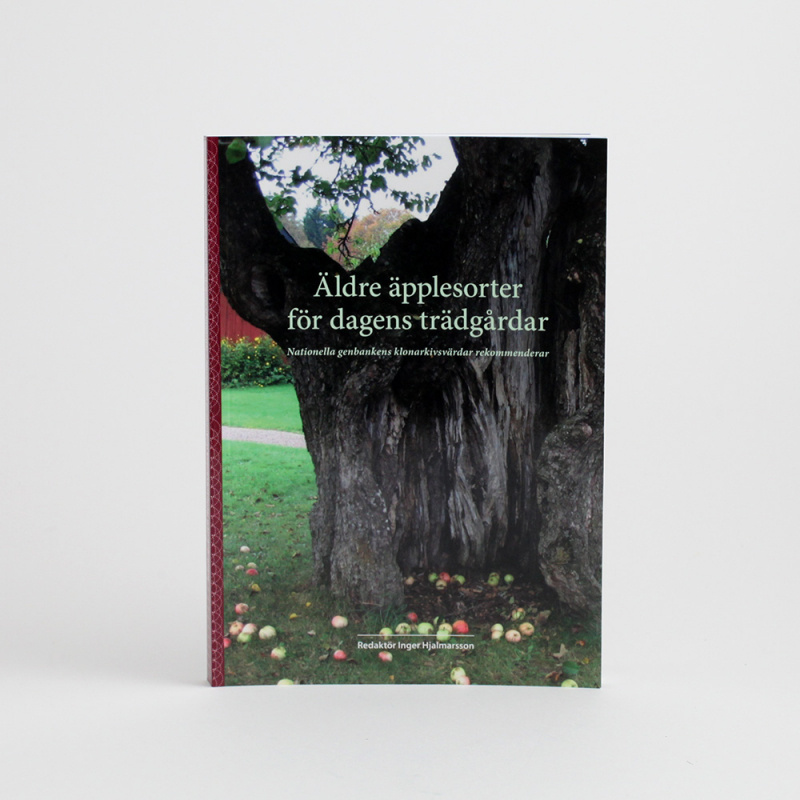 Äldre äpplesorter för dagens trädgårdar