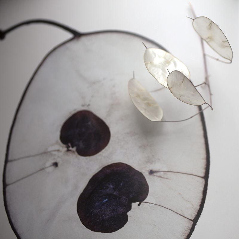 Flora Supersum, Lena Granefelt