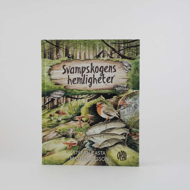 Svampskogens hemligheter