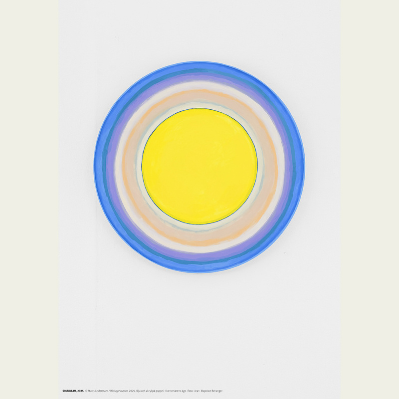 Leiderstam. The Sun Picture.