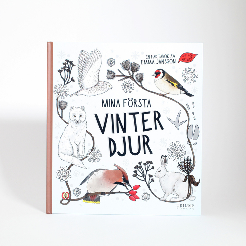 Mina första vinterdjur