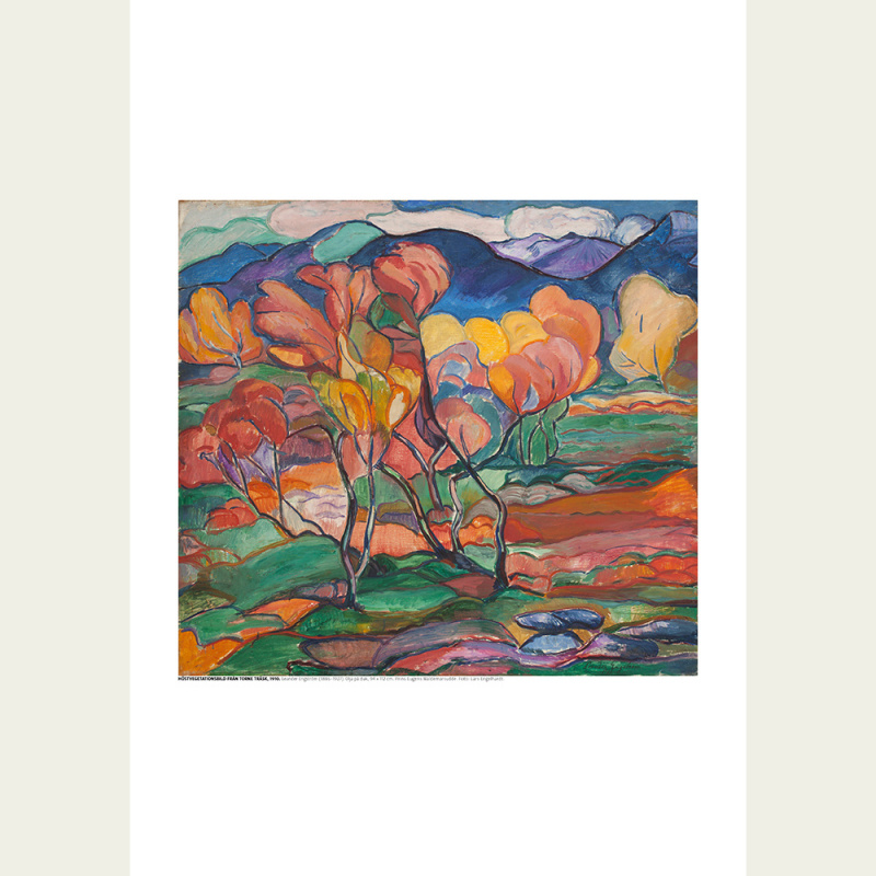 Engstrom: Höstvegetationsbild  från Torne träsk