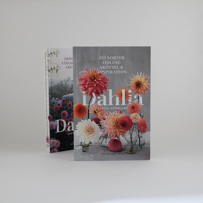 Dahlia: 222 sorter. Odling, skötsel & inspiration